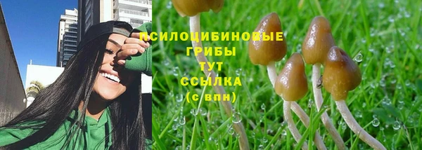 спиды Кулебаки