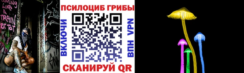 Псилоцибиновые грибы Cubensis  Купить где  Тбилисская 